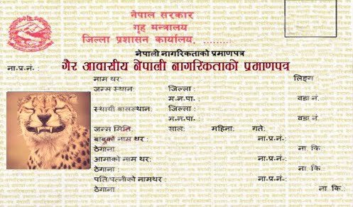 जग्गाधनीको नागरिकताको नमुना (Sample Of Citizenship of Landlord) जग्गाधनीको नागरिकताको नमुना (Sample Of Citizenship of Landlord)